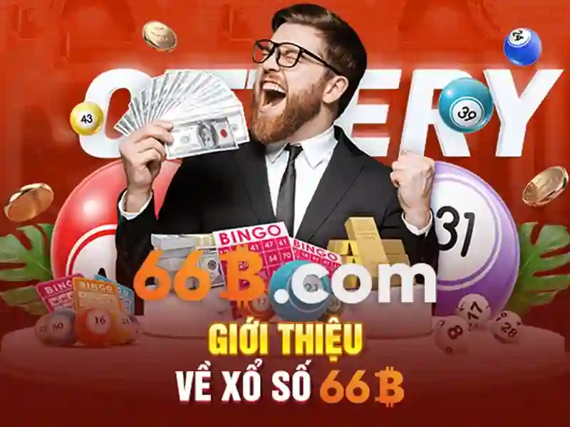 66b: Khái niệm và tác động