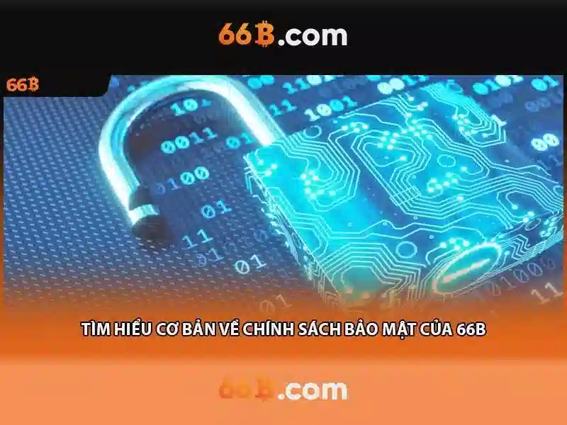 66B và định danh số