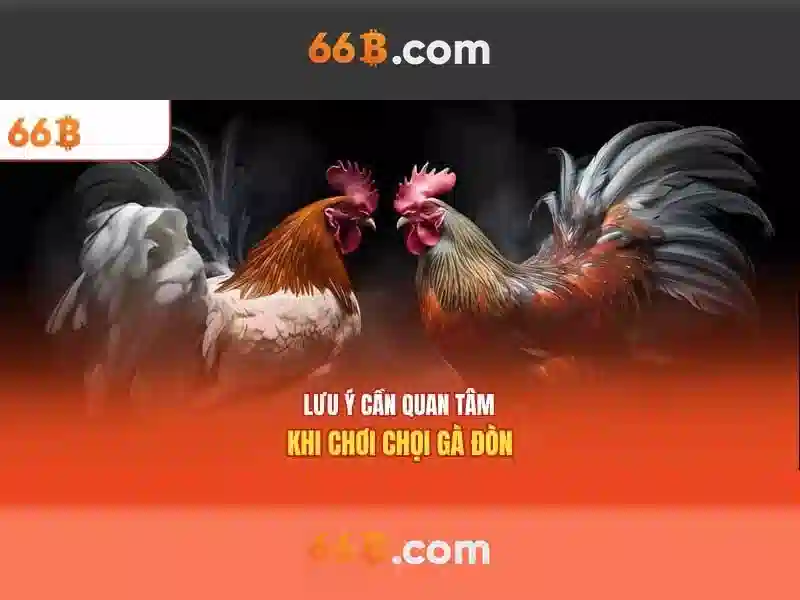 Ung dung cua 66b