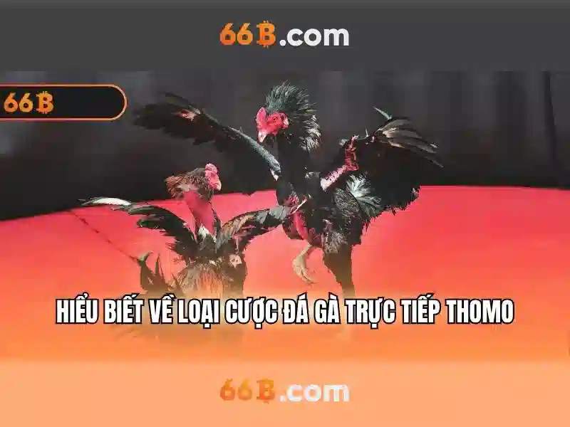 66b la mot mo hinh ngon ngu lon