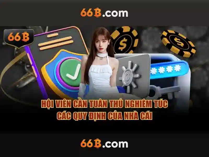 66b là gì?