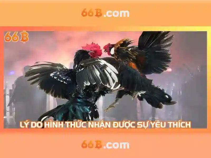 Về 66b: một khái niệm và ứng dụng