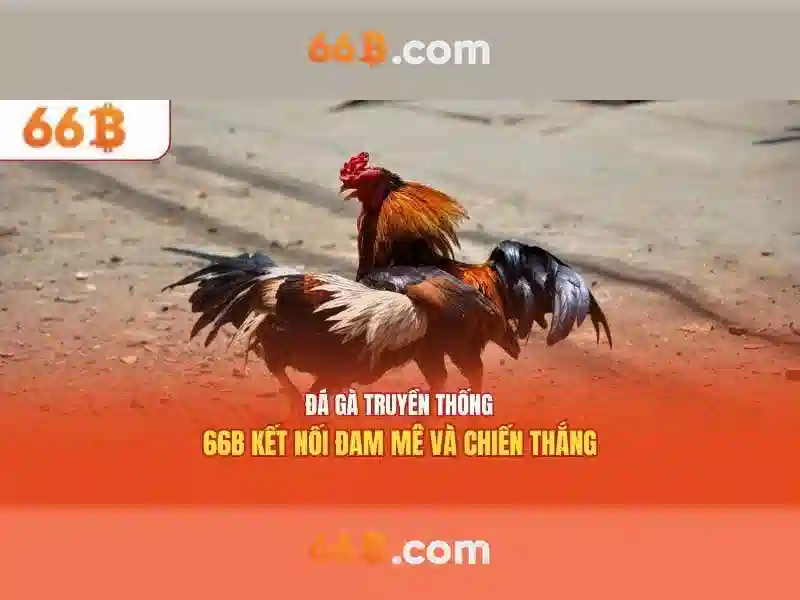 Mô hình 66B: Khái niệm và ứng dụng