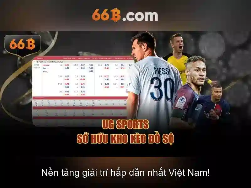 66B là gì và vì sao quan trọng