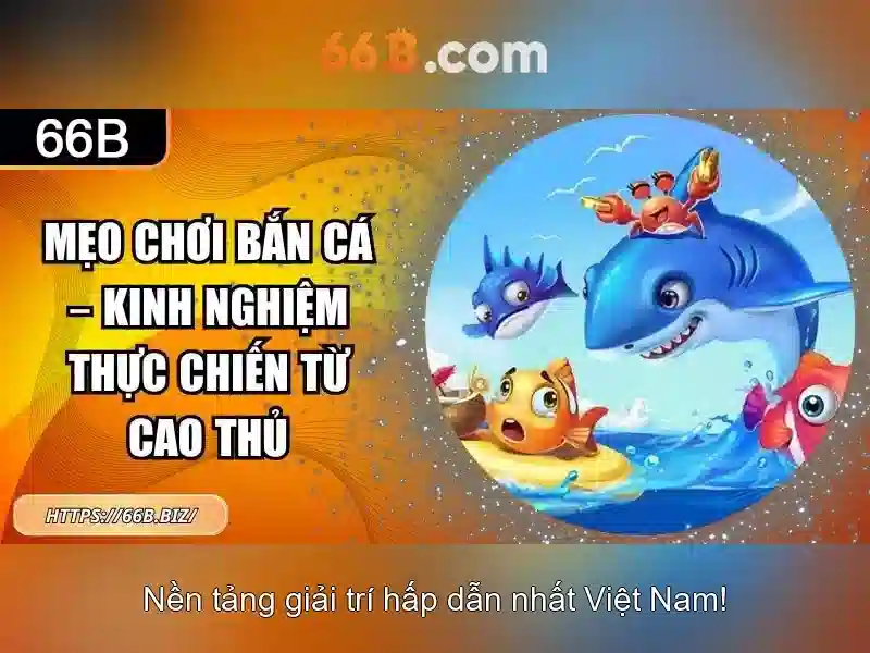 66b: một khái niệm và sự mờ ảo