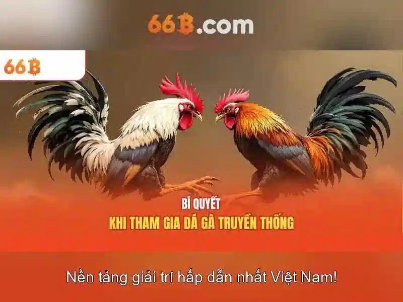 66b: một khái niệm và hành trình của một ký hiệu đặc biệt