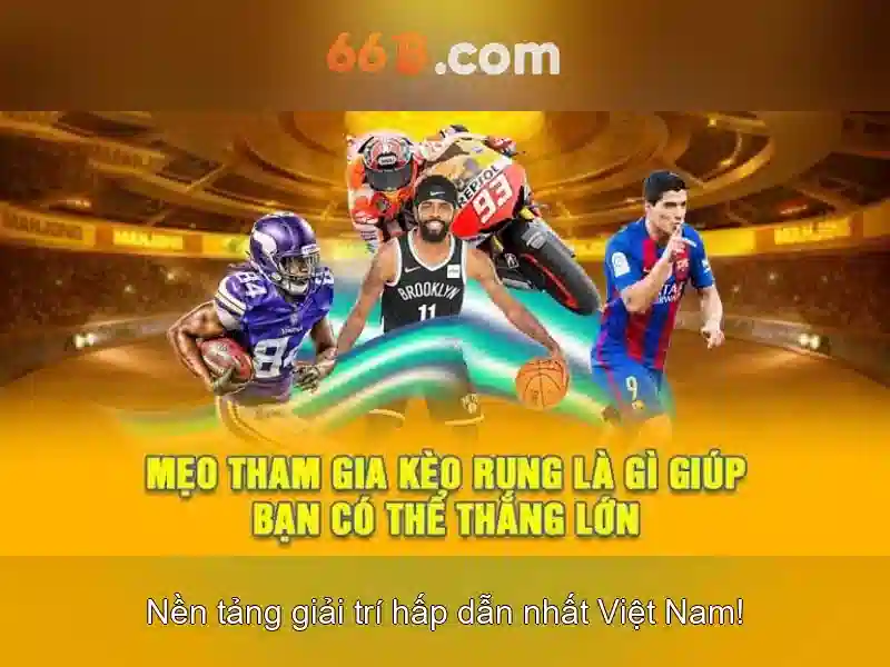 66b: Khám phá một khái niệm mới