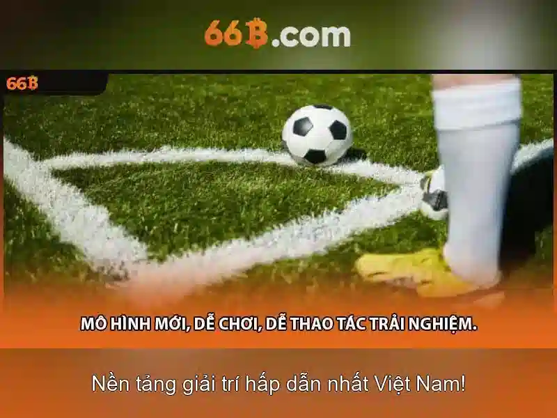 66b và hành trình công nghệ: từ dữ liệu đến hành động