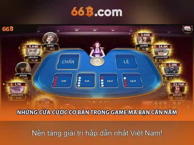 66b là gì?
