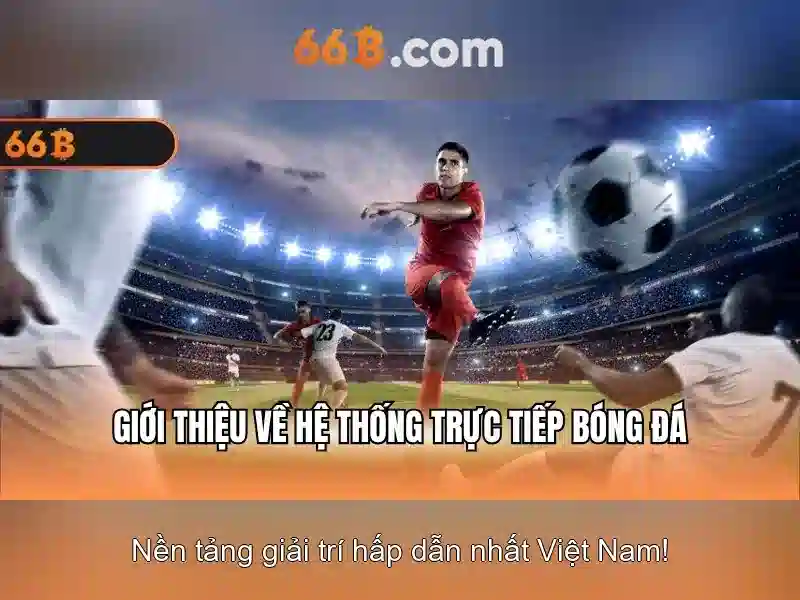 66b: một khái niệm đa chiều trong dữ liệu và công nghệ