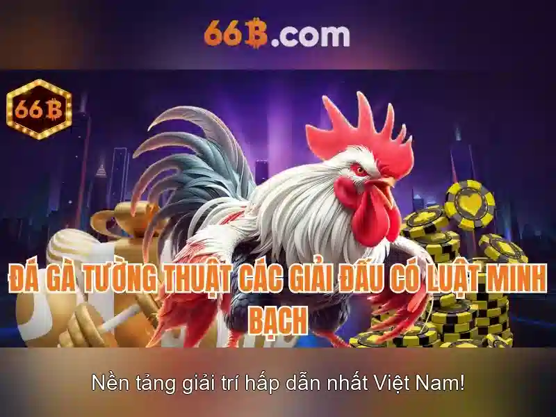 66b là gì?