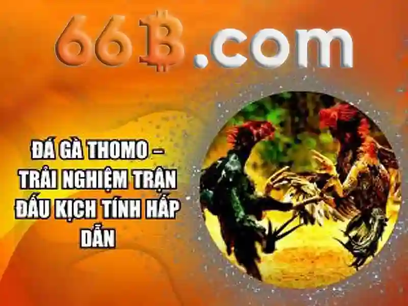 Kiến trúc của 66b