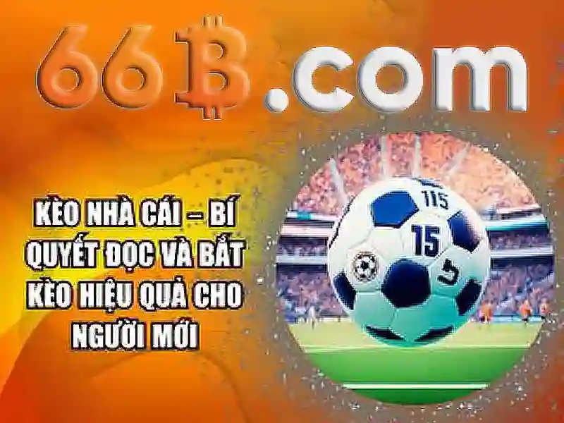 66b: Khái niệm và tác động trong thế giới công nghệ