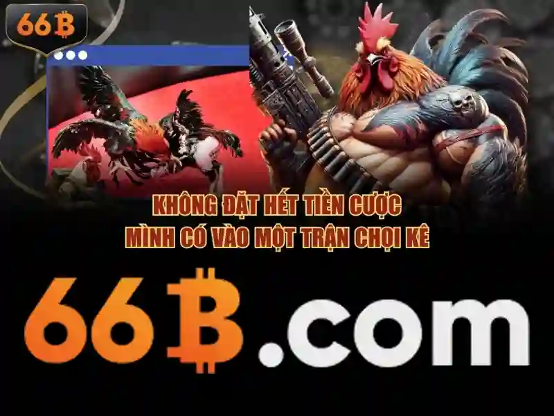 Cách tiếp cận và học hỏi về 66b
