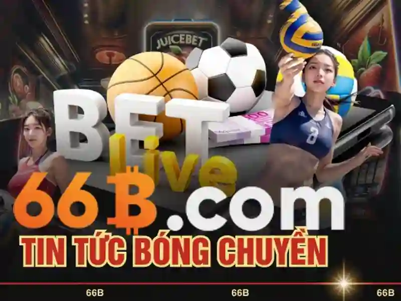 66b: khái niệm, tính năng và ứng dụng